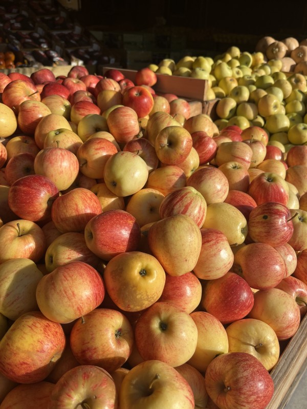 pommes françaises à la Halle de Pessac