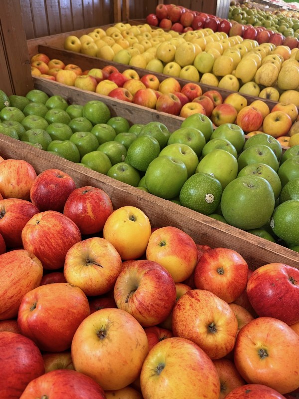 manger des pommes d'origine France à la Halle de pessac